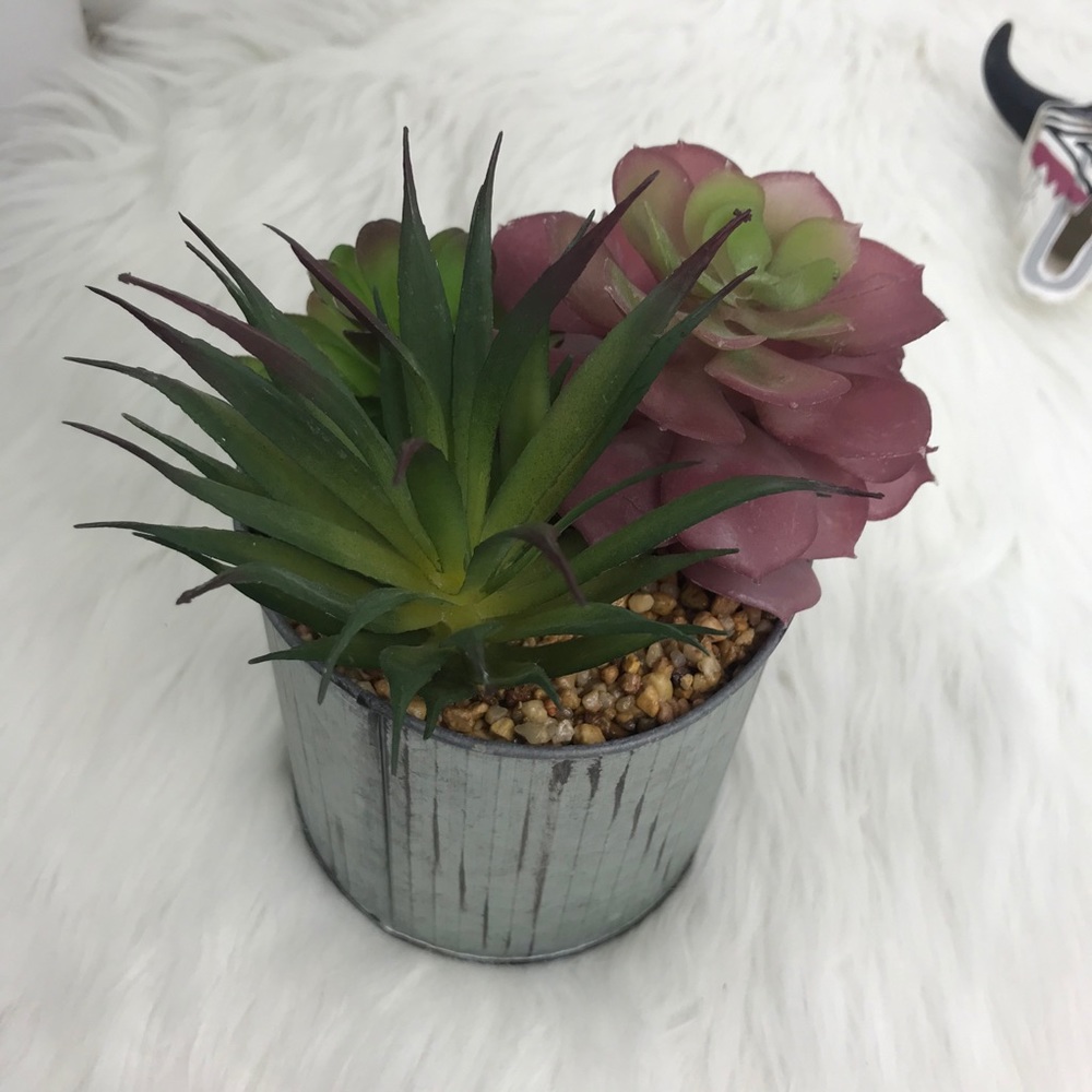 Faux Succulent Tin Plant Home Decor Accent Piece